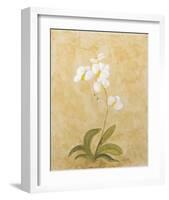 Flower II-Brigitte Beliose-Framed Art Print