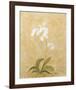 Flower II-Brigitte Beliose-Framed Art Print