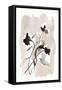 Flower Impression II-Pamela Munger-Framed Stretched Canvas