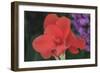 Flower in a Garden of the D. Carlos I Park, Caldas Da Rainha, Portugal-Mallorie Ostrowitz-Framed Photographic Print