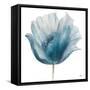 Flower in Blue I (on white)-Patricia Pinto-Framed Stretched Canvas