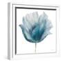 Flower in Blue I (on white)-Patricia Pinto-Framed Art Print