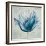 Flower in Blue I-Patricia Pinto-Framed Premium Giclee Print