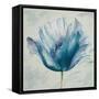 Flower in Blue I-Patricia Pinto-Framed Stretched Canvas
