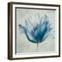 Flower in Blue I-Patricia Pinto-Framed Art Print