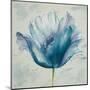 Flower in Blue I-Patricia Pinto-Mounted Art Print