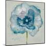 Flower in Blue II-Patricia Pinto-Mounted Art Print
