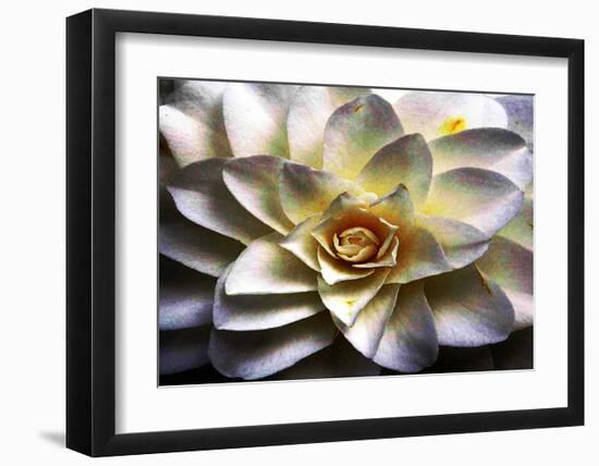 Flower in Full Bloom-Stephen Lebovits-Framed Giclee Print