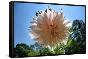 Flower in Full Bloom-null-Framed Stretched Canvas