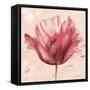 Flower in Pink-Patricia Pinto-Framed Stretched Canvas