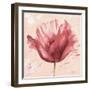 Flower in Pink-Patricia Pinto-Framed Art Print