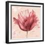 Flower in Pink-Patricia Pinto-Framed Art Print