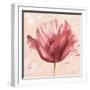 Flower in Pink-Patricia Pinto-Framed Art Print