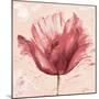 Flower in Pink-Patricia Pinto-Mounted Art Print