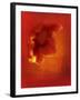 Flower in Red-Johan Lilja-Framed Giclee Print