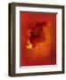 Flower in Red-Johan Lilja-Framed Giclee Print
