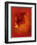 Flower in Red-Johan Lilja-Framed Giclee Print