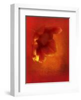 Flower in Red-Johan Lilja-Framed Giclee Print