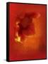 Flower in Red-Johan Lilja-Framed Stretched Canvas