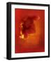 Flower in Red-Johan Lilja-Framed Giclee Print