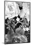 Flower in the Water, B/W, Close-Up-Alaya Gadeh-Mounted Photographic Print