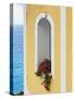 Flower in Window at Seaside, Positano, Italy-George Oze-Stretched Canvas