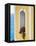 Flower in Window at Seaside, Positano, Italy-George Oze-Framed Stretched Canvas