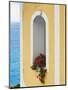 Flower in Window at Seaside, Positano, Italy-George Oze-Mounted Photographic Print