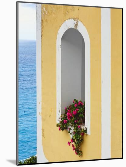 Flower in Window at Seaside, Positano, Italy-George Oze-Mounted Photographic Print