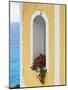 Flower in Window at Seaside, Positano, Italy-George Oze-Mounted Photographic Print