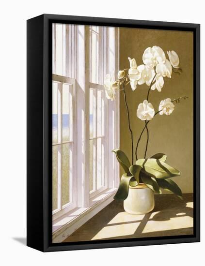 Flower In Window-Zhen-Huan Lu-Framed Stretched Canvas