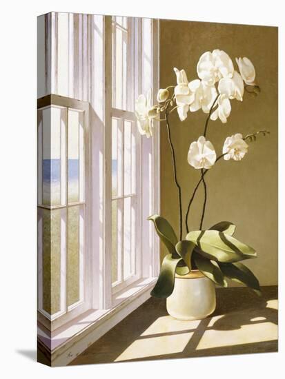 Flower In Window-Zhen-Huan Lu-Stretched Canvas