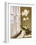 Flower In Window-Zhen-Huan Lu-Framed Giclee Print