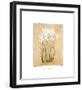 Flower IV-Brigitte Beliose-Framed Art Print