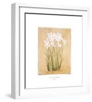 Flower IV-Brigitte Beliose-Framed Art Print