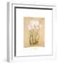 Flower IV-Brigitte Beliose-Framed Art Print