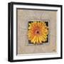 Flower IV-Maya Nishiyama-Framed Art Print