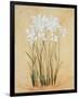 Flower IV-Brigitte Beliose-Framed Premium Giclee Print