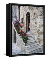 Flower-Lined Stairway, Petroio, Italy-Dennis Flaherty-Framed Stretched Canvas