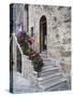 Flower-Lined Stairway, Petroio, Italy-Dennis Flaherty-Stretched Canvas