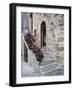 Flower-Lined Stairway, Petroio, Italy-Dennis Flaherty-Framed Photographic Print