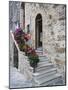 Flower-Lined Stairway, Petroio, Italy-Dennis Flaherty-Mounted Photographic Print