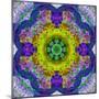 Flower Mandala, Photograph, Layer Work-Alaya Gadeh-Mounted Photographic Print