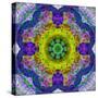Flower Mandala, Photograph, Layer Work-Alaya Gadeh-Stretched Canvas