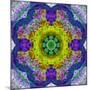 Flower Mandala, Photograph, Layer Work-Alaya Gadeh-Mounted Photographic Print