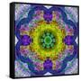 Flower Mandala, Photograph, Layer Work-Alaya Gadeh-Framed Stretched Canvas