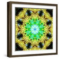 Flower Mandala-Alaya Gadeh-Framed Photographic Print