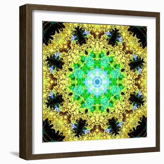 Flower Mandala-Alaya Gadeh-Framed Photographic Print