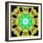 Flower Mandala-Alaya Gadeh-Framed Photographic Print