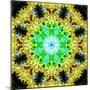 Flower Mandala-Alaya Gadeh-Mounted Photographic Print